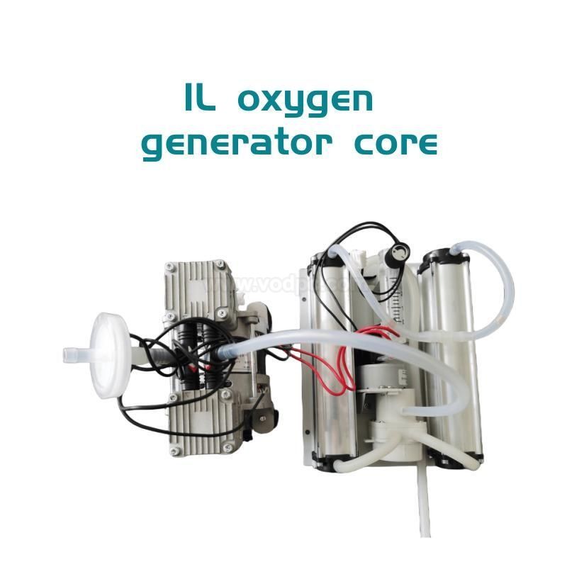 1L Oxygen Generator Concentrator  Spare Part without Housing for Aquarium Pond